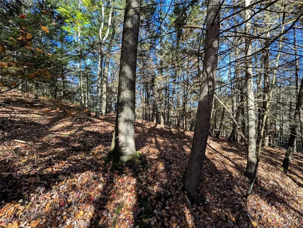 7620 Lodge Road, Addison, New York 14801, Addison, New York 14801, ,Land,For Sale,7620 Lodge Road, Addison, New York 14801,0,S1725625