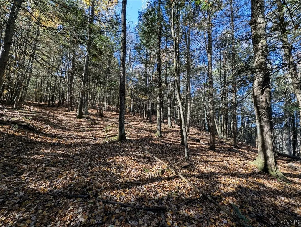 7620 Lodge Road, Addison, New York 14801, Addison, New York 14801, ,Land,For Sale,7620 Lodge Road, Addison, New York 14801,0,S1725625
