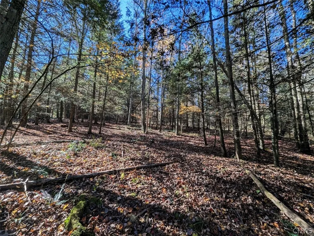 7620 Lodge Road, Addison, New York 14801, Addison, New York 14801, ,Land,For Sale,7620 Lodge Road, Addison, New York 14801,0,S1725625