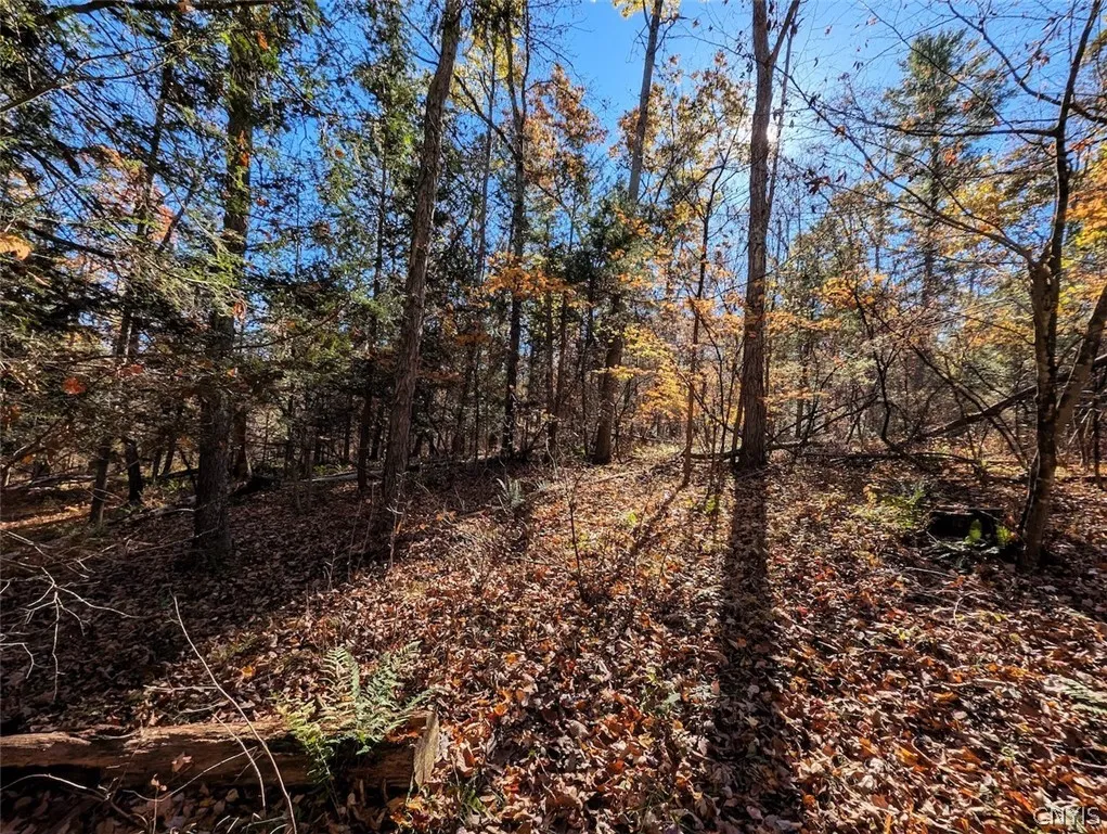 7620 Lodge Road, Addison, New York 14801, Addison, New York 14801, ,Land,For Sale,7620 Lodge Road, Addison, New York 14801,0,S1725625