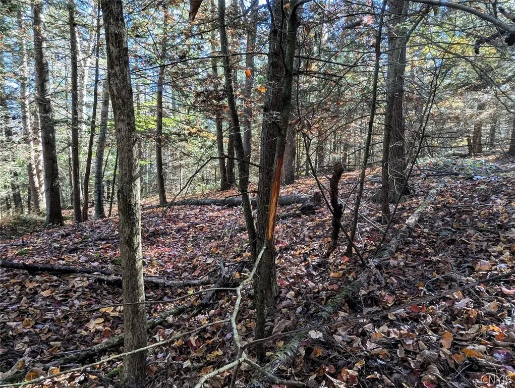 7620 Lodge Road, Addison, New York 14801, Addison, New York 14801, ,Land,For Sale,7620 Lodge Road, Addison, New York 14801,0,S1725625