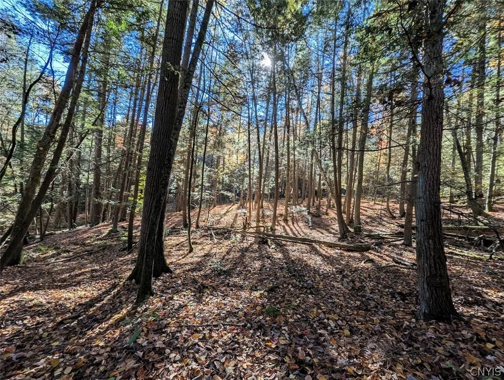 7620 Lodge Road, Addison, New York 14801, Addison, New York 14801, ,Land,For Sale,7620 Lodge Road, Addison, New York 14801,0,S1725625
