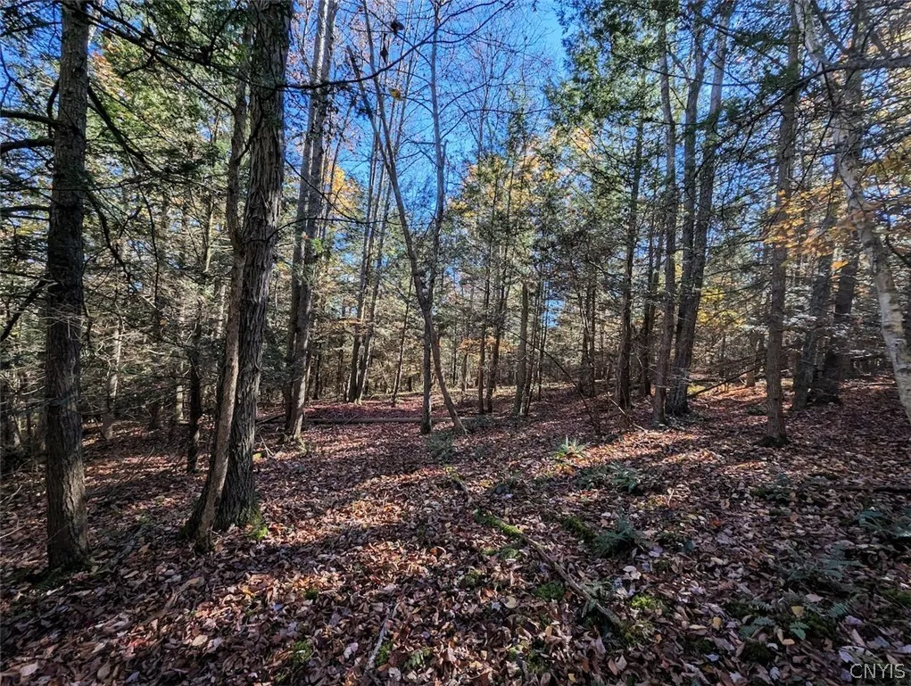 7620 Lodge Road, Addison, New York 14801, Addison, New York 14801, ,Land,For Sale,7620 Lodge Road, Addison, New York 14801,0,S1725625