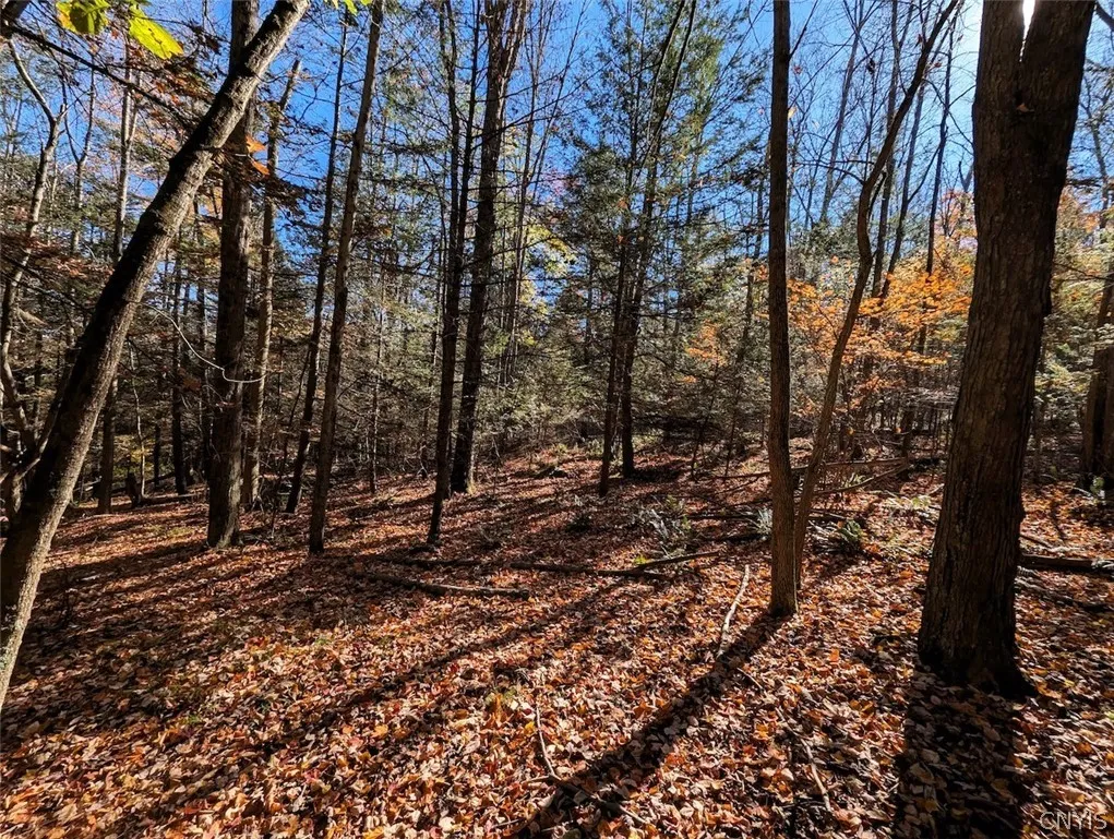 7620 Lodge Road, Addison, New York 14801, Addison, New York 14801, ,Land,For Sale,7620 Lodge Road, Addison, New York 14801,0,S1725625