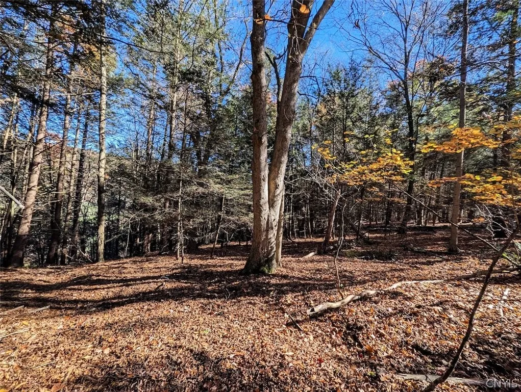 7620 Lodge Road, Addison, New York 14801, Addison, New York 14801, ,Land,For Sale,7620 Lodge Road, Addison, New York 14801,0,S1725625