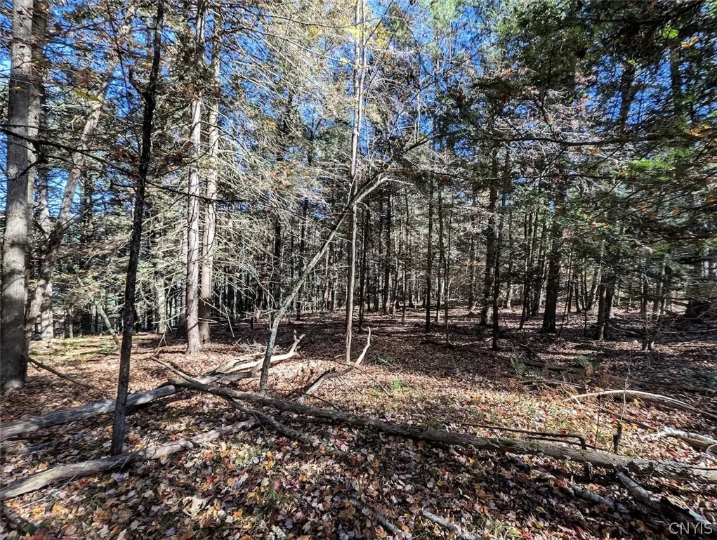 7620 Lodge Road, Addison, New York 14801, Addison, New York 14801, ,Land,For Sale,7620 Lodge Road, Addison, New York 14801,0,S1725625