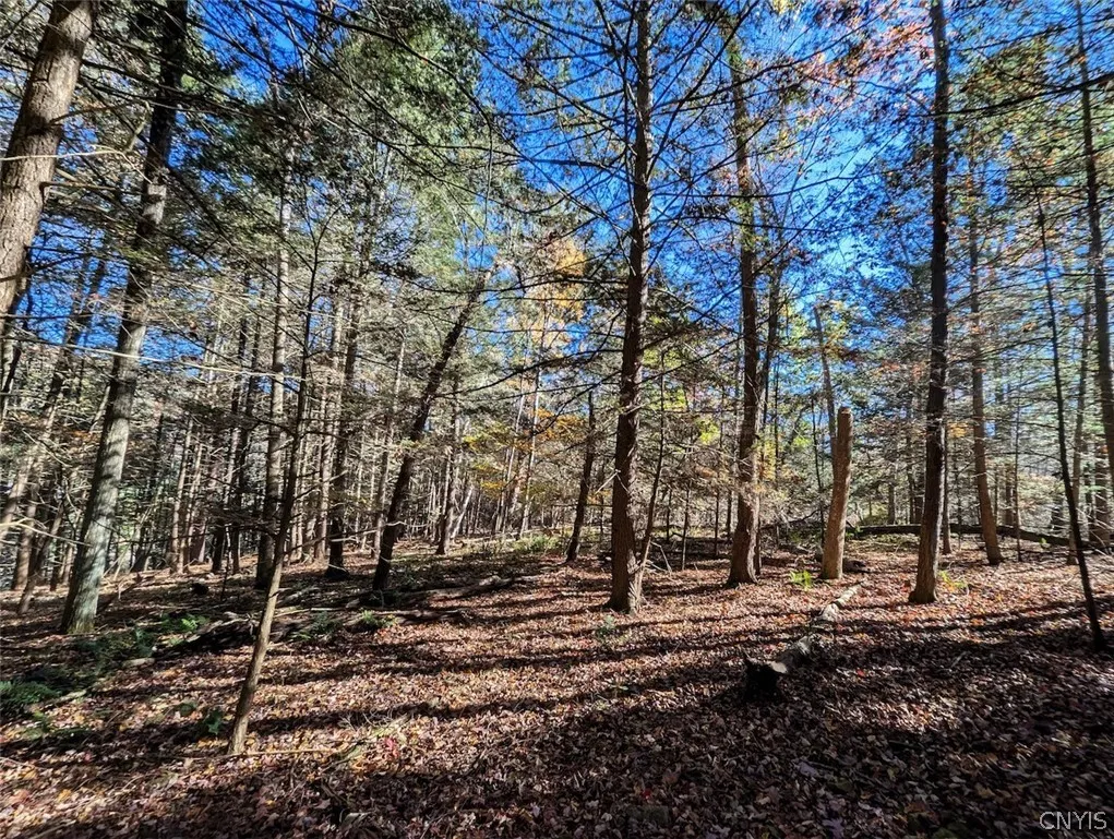7620 Lodge Road, Addison, New York 14801, Addison, New York 14801, ,Land,For Sale,7620 Lodge Road, Addison, New York 14801,0,S1725625