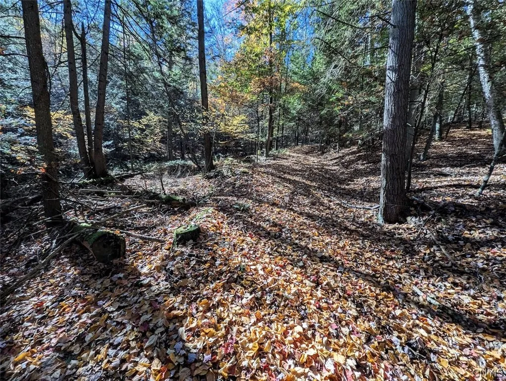 7620 Lodge Road, Addison, New York 14801, Addison, New York 14801, ,Land,For Sale,7620 Lodge Road, Addison, New York 14801,0,S1725625