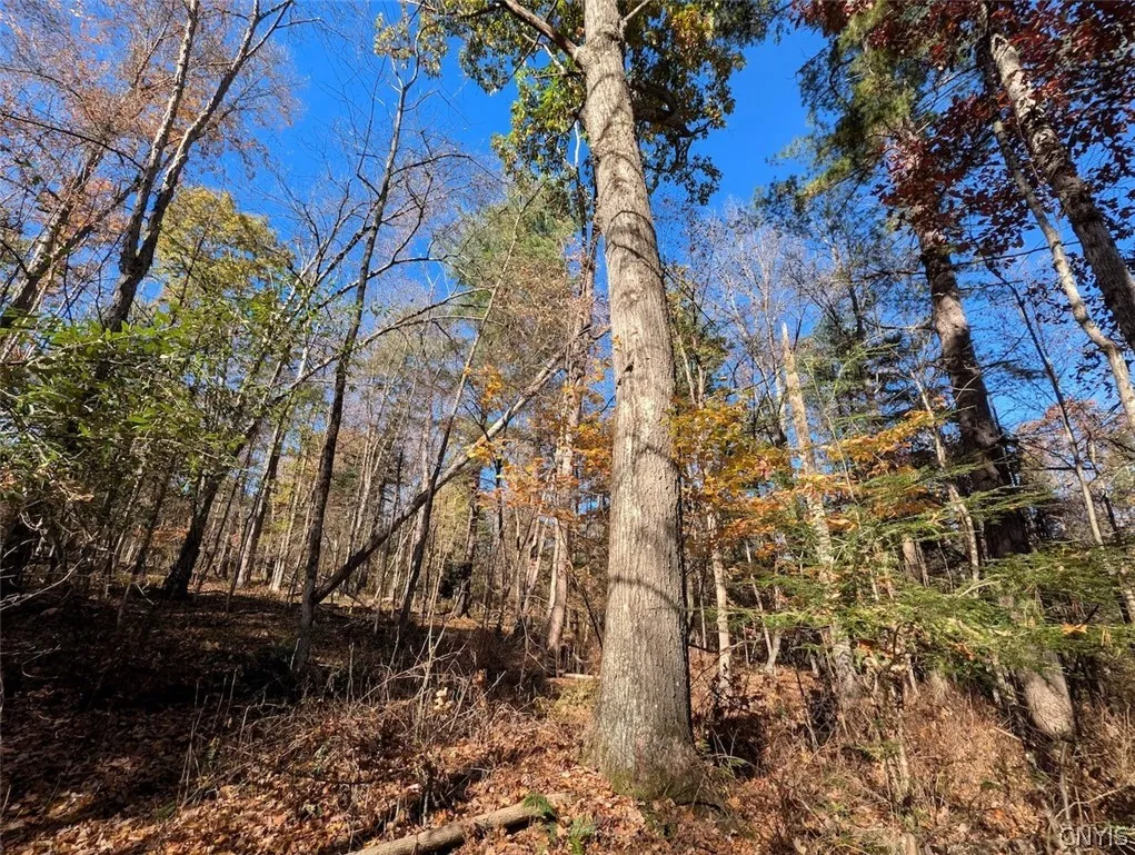 7620 Lodge Road, Addison, New York 14801, Addison, New York 14801, ,Land,For Sale,7620 Lodge Road, Addison, New York 14801,0,S1725625