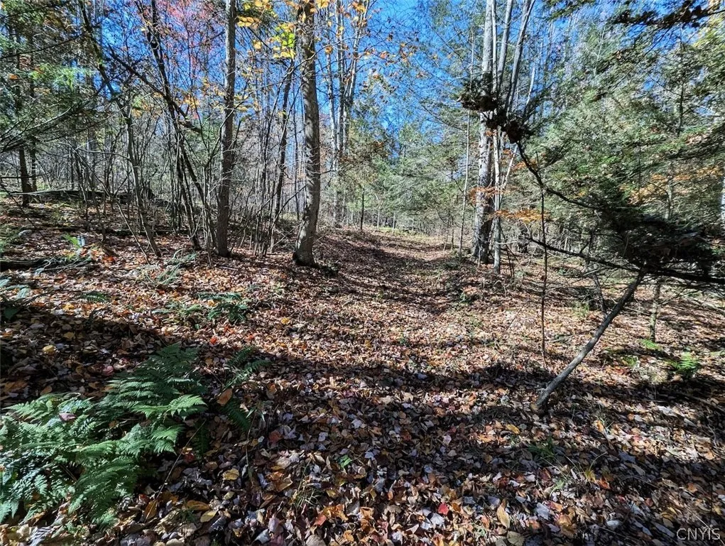 7620 Lodge Road, Addison, New York 14801, Addison, New York 14801, ,Land,For Sale,7620 Lodge Road, Addison, New York 14801,0,S1725625