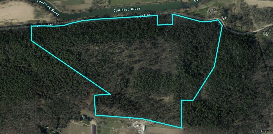 7620 Lodge Road, Addison, New York 14801, Addison, New York 14801, ,Land,For Sale,7620 Lodge Road, Addison, New York 14801,0,S1725625
