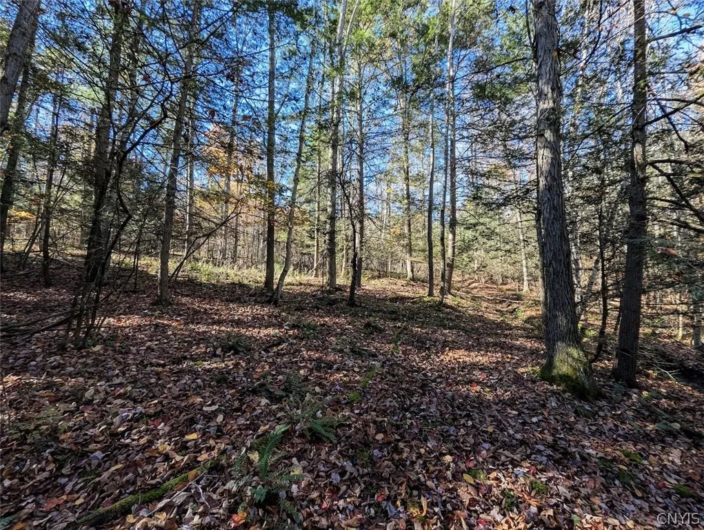 7620 Lodge Road, Addison, New York 14801, Addison, New York 14801, ,Land,For Sale,7620 Lodge Road, Addison, New York 14801,0,S1725625