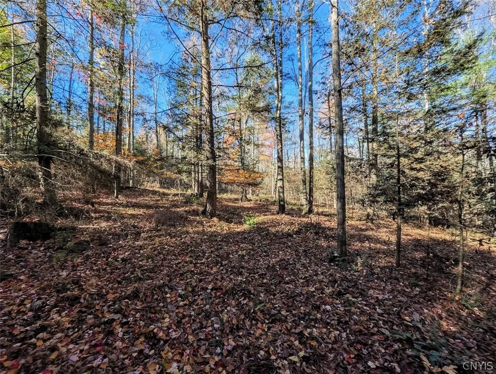 7620 Lodge Road, Addison, New York 14801, Addison, New York 14801, ,Land,For Sale,7620 Lodge Road, Addison, New York 14801,0,S1725625
