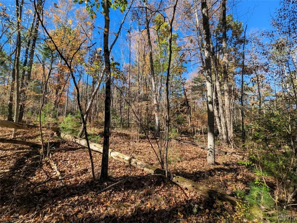 7620 Lodge Road, Addison, New York 14801, Addison, New York 14801, ,Land,For Sale,7620 Lodge Road, Addison, New York 14801,0,S1725625