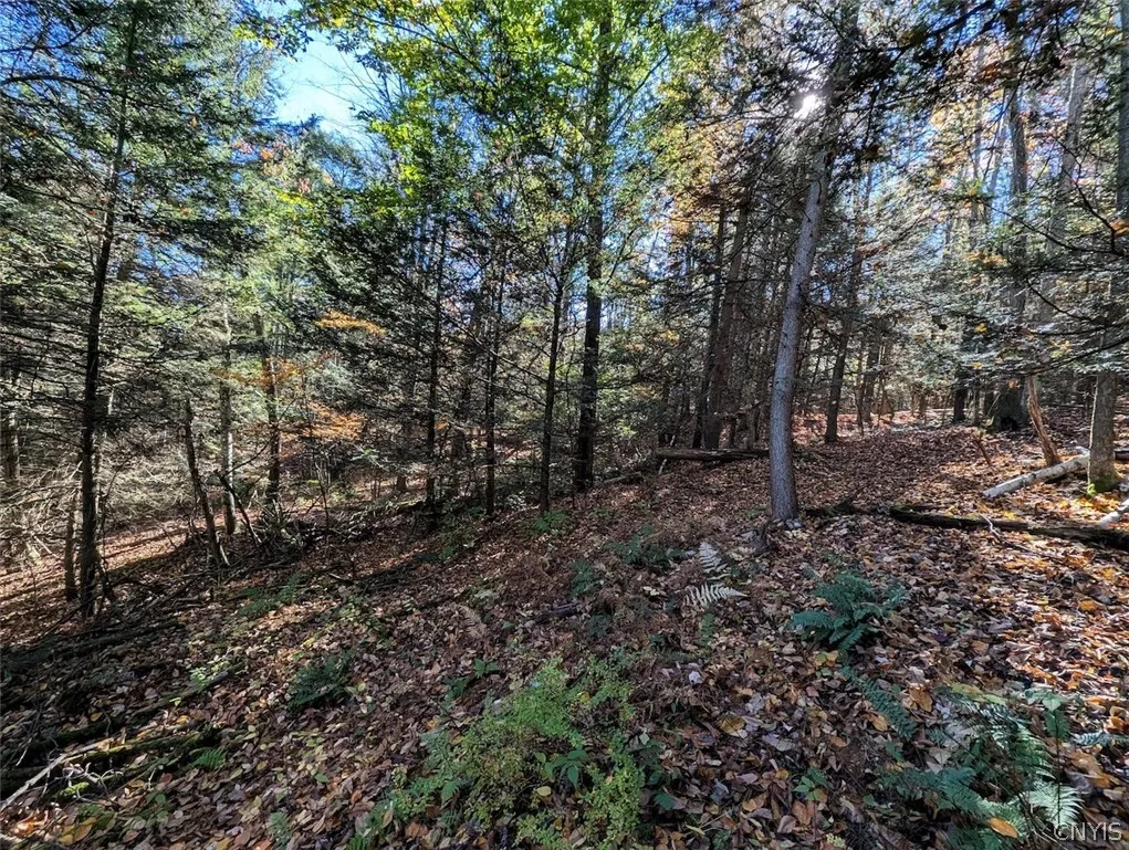 7620 Lodge Road, Addison, New York 14801, Addison, New York 14801, ,Land,For Sale,7620 Lodge Road, Addison, New York 14801,0,S1725625