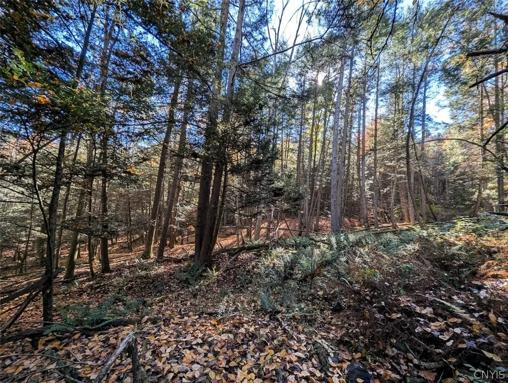 7620 Lodge Road, Addison, New York 14801, Addison, New York 14801, ,Land,For Sale,7620 Lodge Road, Addison, New York 14801,0,S1725625