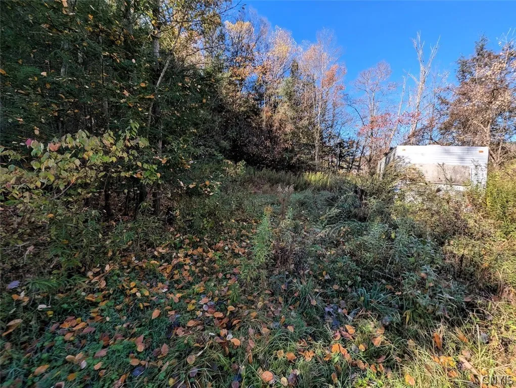 7620 Lodge Road, Addison, New York 14801, Addison, New York 14801, ,Land,For Sale,7620 Lodge Road, Addison, New York 14801,0,S1725625