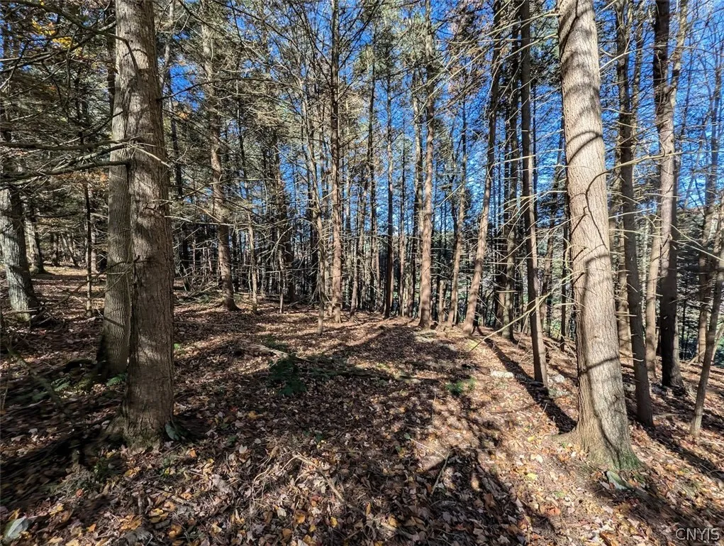 7620 Lodge Road, Addison, New York 14801, Addison, New York 14801, ,Land,For Sale,7620 Lodge Road, Addison, New York 14801,0,S1725625