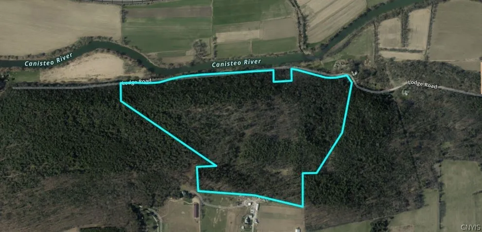 7620 Lodge Road, Addison, New York 14801, Addison, New York 14801, ,Land,For Sale,7620 Lodge Road, Addison, New York 14801,0,S1725625
