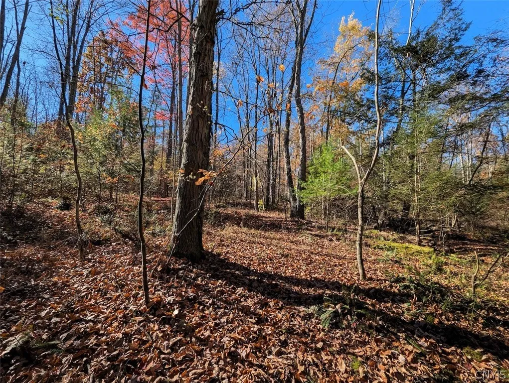 7620 Lodge Road, Addison, New York 14801, Addison, New York 14801, ,Land,For Sale,7620 Lodge Road, Addison, New York 14801,0,S1725625