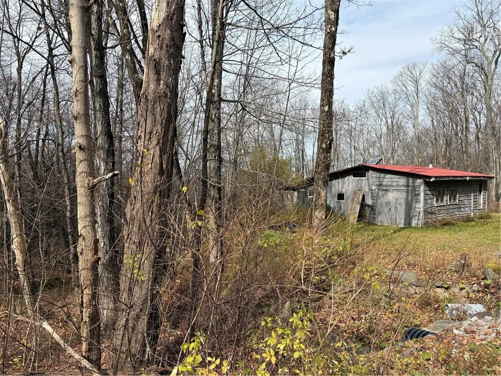 301 Mt Jefferson Road, Jefferson, New York 12093, Jefferson, New York 12093, ,Land,For Sale,301 Mt Jefferson Road, Jefferson, New York 12093,0,R1725300