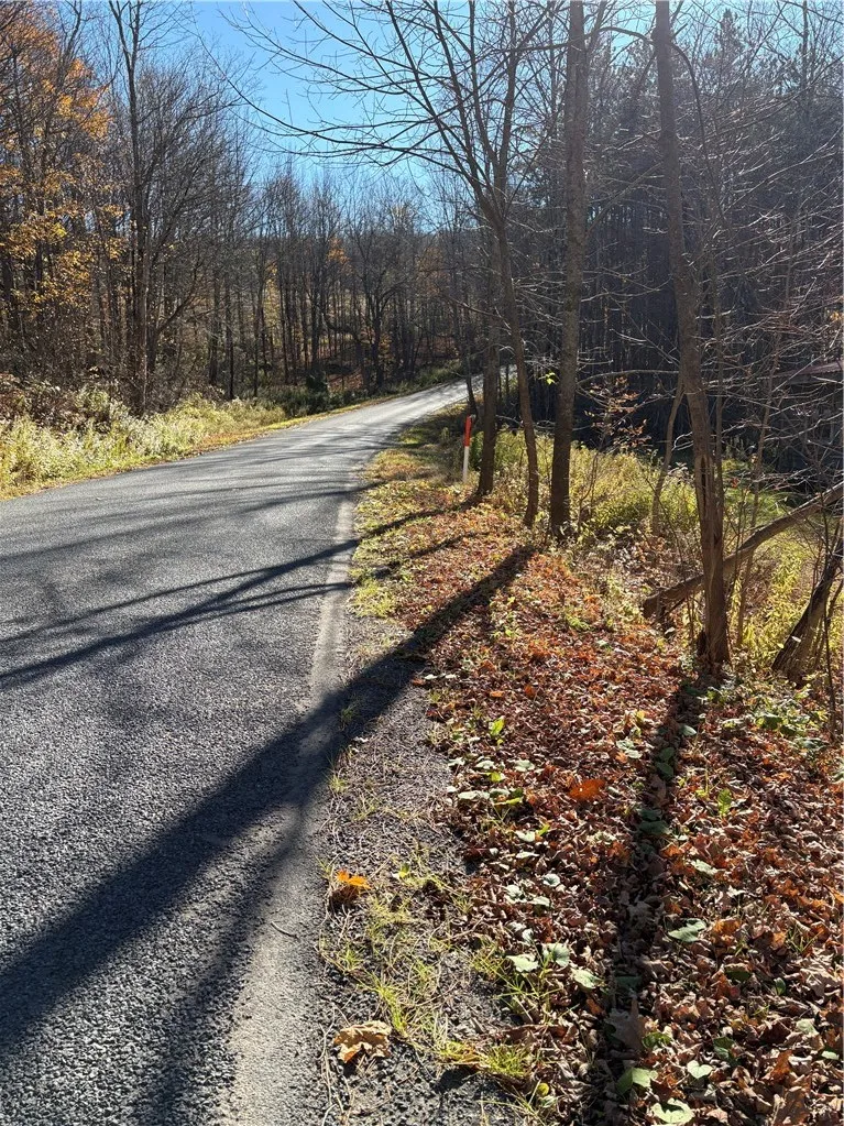 301 Mt Jefferson Road, Jefferson, New York 12093, Jefferson, New York 12093, ,Land,For Sale,301 Mt Jefferson Road, Jefferson, New York 12093,0,R1725300