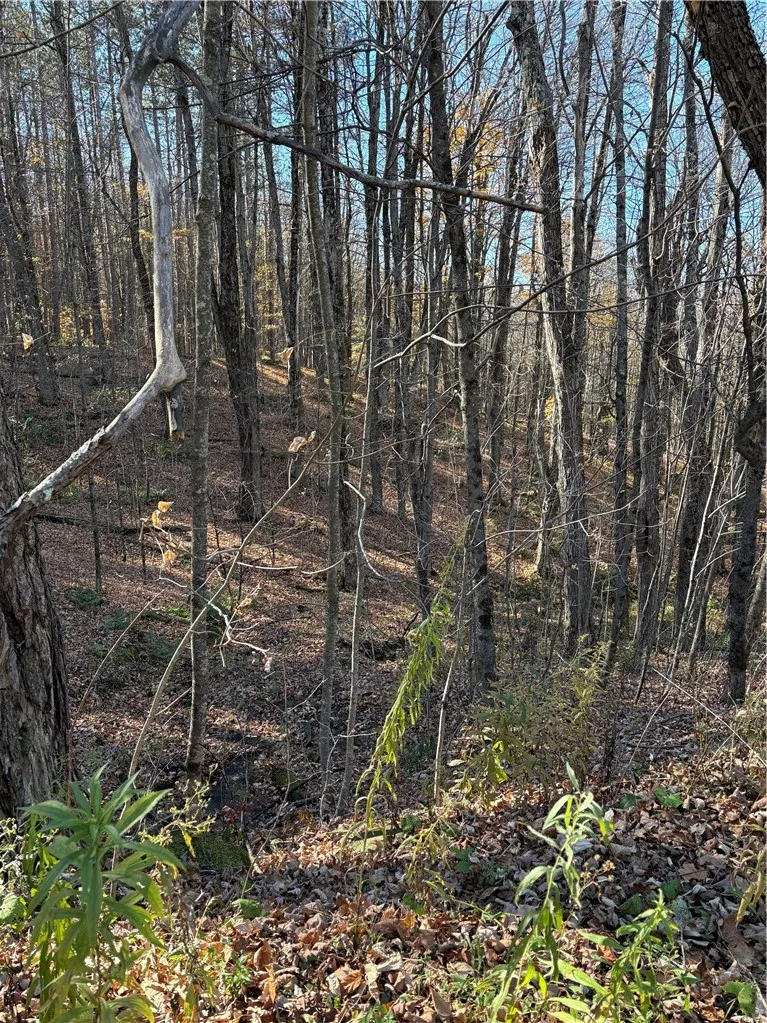 301 Mt Jefferson Road, Jefferson, New York 12093, Jefferson, New York 12093, ,Land,For Sale,301 Mt Jefferson Road, Jefferson, New York 12093,0,R1725300
