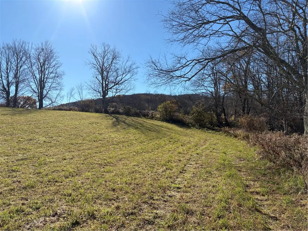 0 County Hwy 33, Harpersfield, New York 13786, Harpersfield, New York 13786, ,Land,For Sale,0 County Hwy 33, Harpersfield, New York 13786,0,R1725455