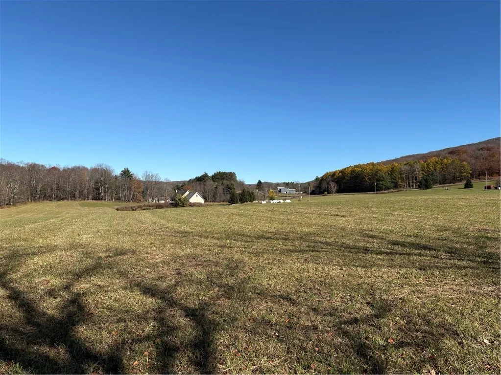 0 County Hwy 33, Harpersfield, New York 13786, Harpersfield, New York 13786, ,Land,For Sale,0 County Hwy 33, Harpersfield, New York 13786,0,R1725455