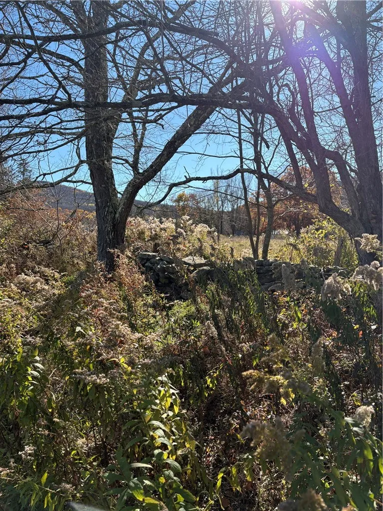 0 County Hwy 33, Harpersfield, New York 13786, Harpersfield, New York 13786, ,Land,For Sale,0 County Hwy 33, Harpersfield, New York 13786,0,R1725455