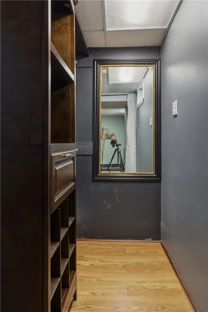 Lower Level Walk in Closet