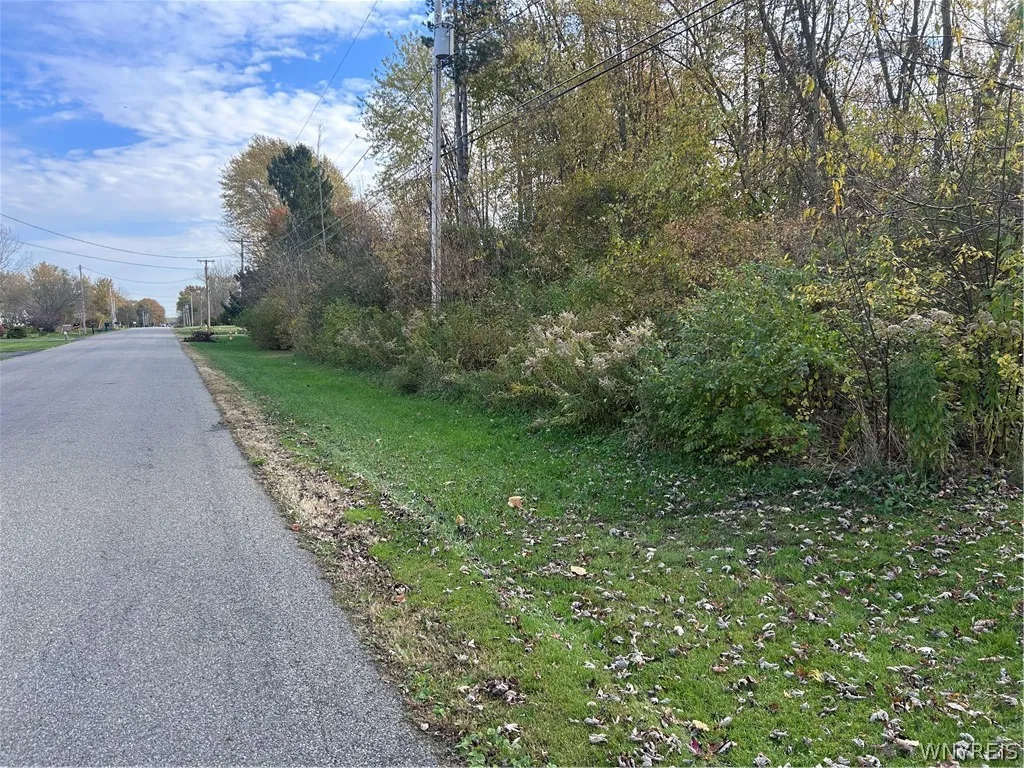 Rounds Road South, Newfane, New York 14108, Newfane, New York 14108, ,Land,For Sale,Rounds Road South, Newfane, New York 14108,0,B1725353