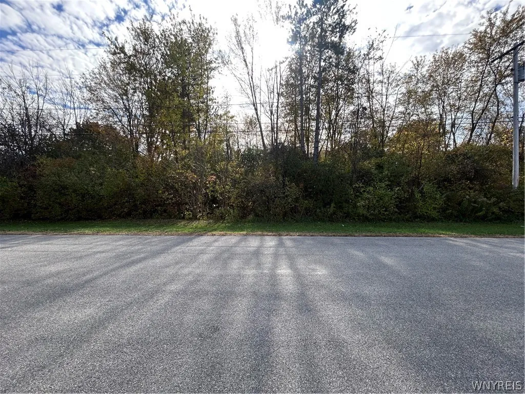 Rounds Road South, Newfane, New York 14108, Newfane, New York 14108, ,Land,For Sale,Rounds Road South, Newfane, New York 14108,0,B1725353