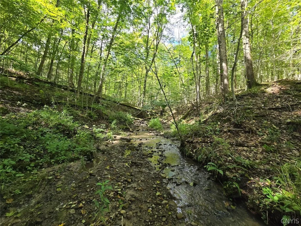 Wiscoy Road, Genesee Falls, New York 14536, Genesee Falls, New York 14536, ,Land,For Sale,Wiscoy Road, Genesee Falls, New York 14536,0,S1725690