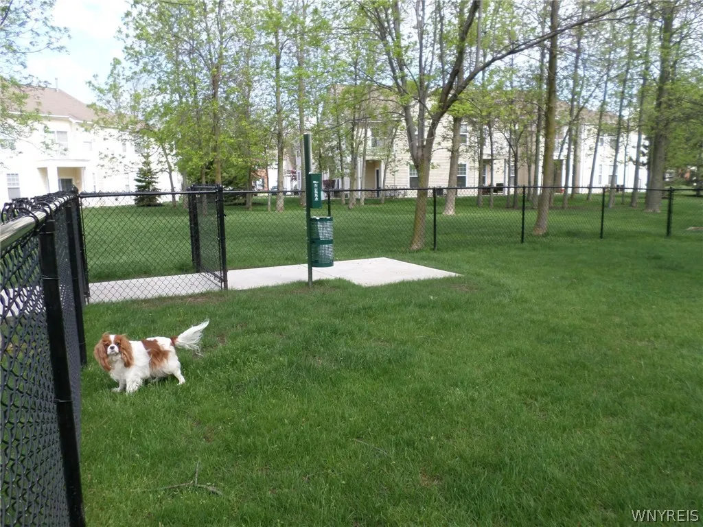 10 Arielle Court C-plan, Amherst, New York 14221, Amherst, New York 14221, 2 Bedrooms Bedrooms, 4 Rooms Rooms,2 BathroomsBathrooms,Residential Lease,For Rent,10 Arielle Court C-plan, Amherst, New York 14221,0,B467966