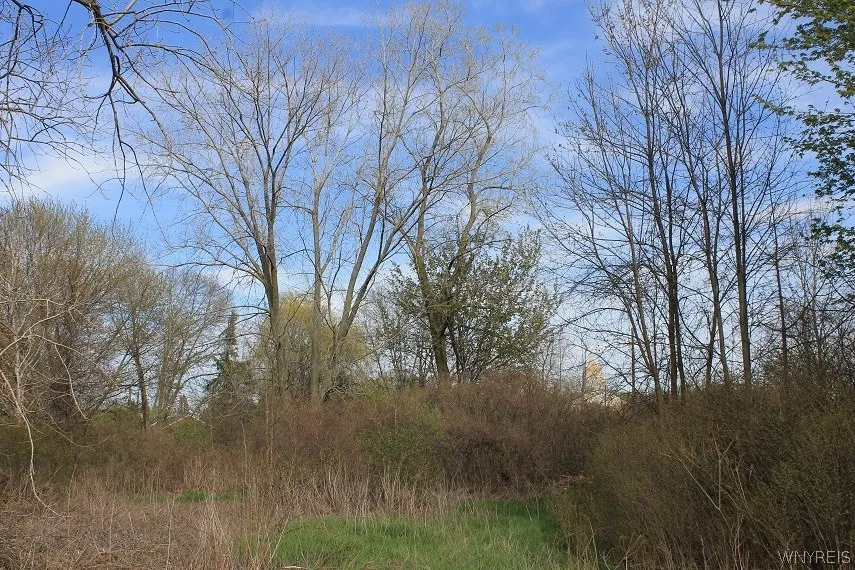 7121 Rochester Road, Lockport Town, New York 14094, Lockport Town, New York 14094, ,Commercial Sale,For Sale,7121 Rochester Road, Lockport Town, New York 14094,B1047025