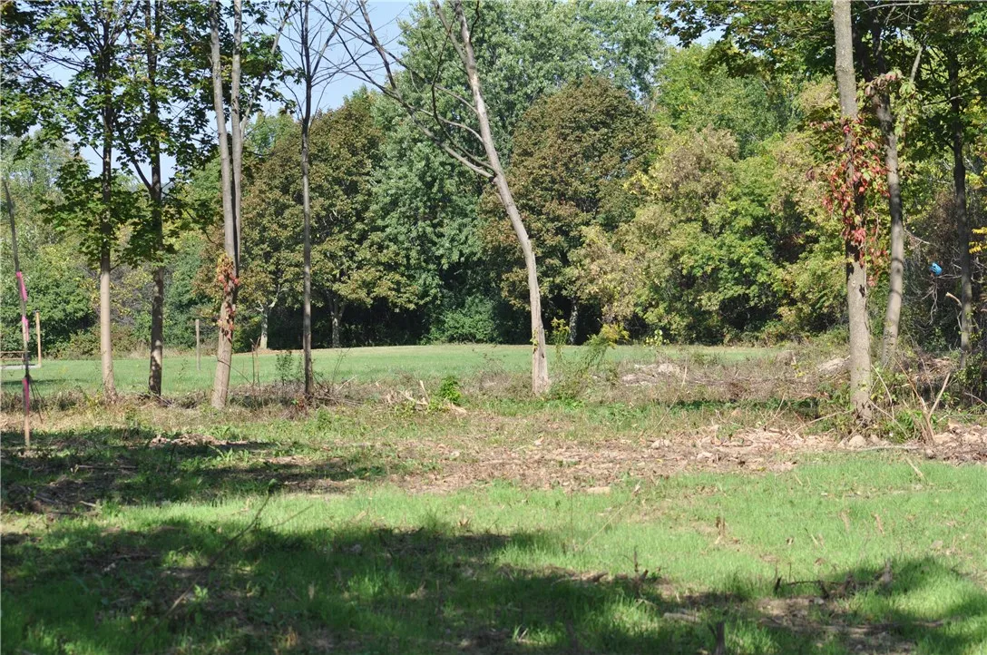 1 Geneva Street, Milo, New York 14527, Milo, New York 14527, ,Land,For Sale,1 Geneva Street, Milo, New York 14527,0,R1257871