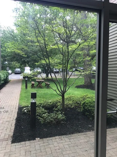 100 Linden Oaks