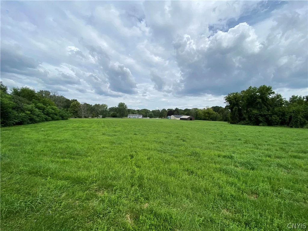 9 Acres Buckley Road, Clay, New York 13212, Clay, New York 13212, 2 Bedrooms Bedrooms, ,1 BathroomBathrooms,Land,For Sale,9 Acres Buckley Road, Clay, New York 13212,0,S1361981