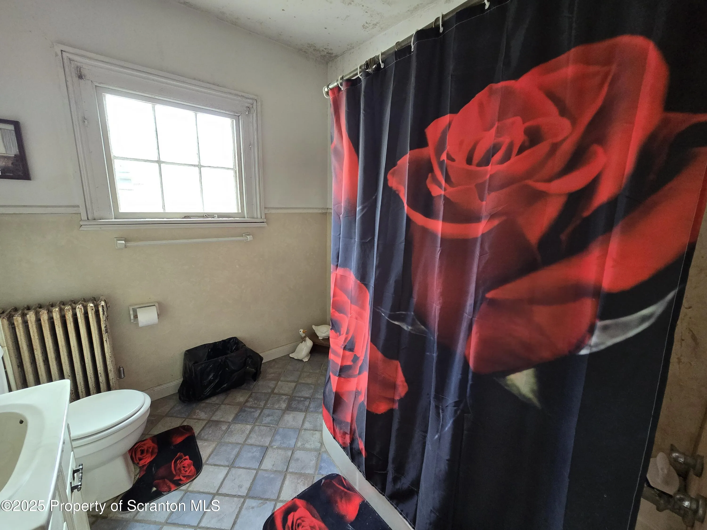 4 Little Ireland Road, Starrucca, Pennsylvania 18462, 6 Bedrooms Bedrooms, 9 Rooms Rooms,3 BathroomsBathrooms,Residential,For Sale,Little Ireland,SC252511