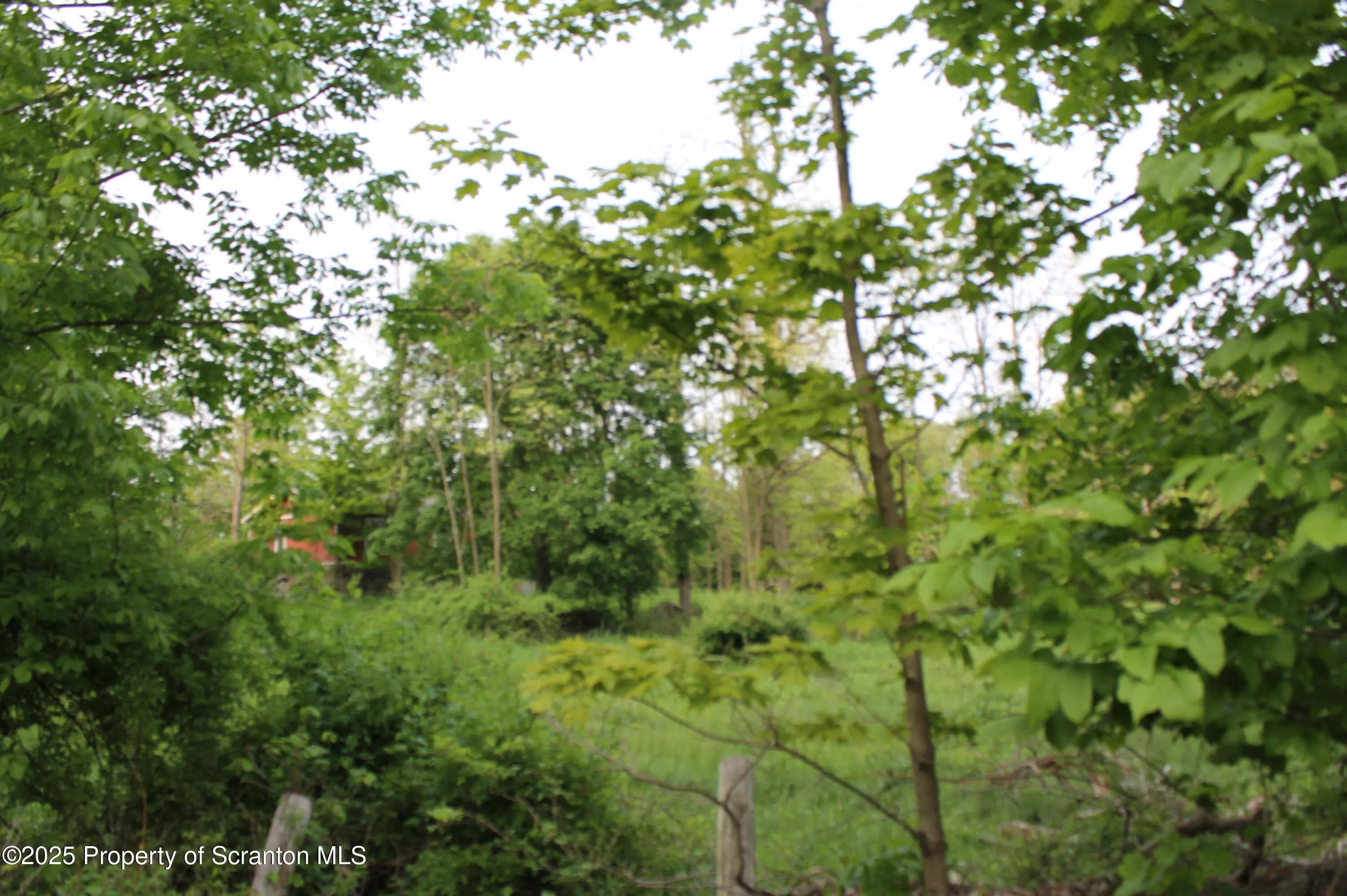 2420 Maplewood Road, Jefferson Twp, Pennsylvania 18436, ,Land,For Sale,Maplewood,SC252780