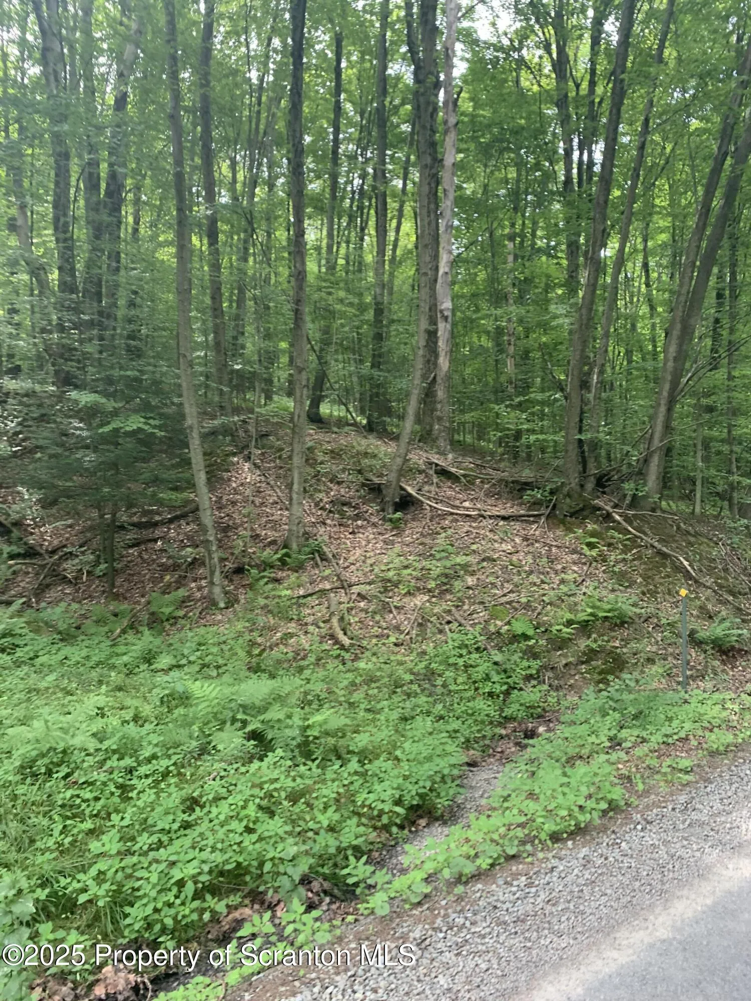 0 Butterfield Road, New Milford, Pennsylvania 18834, ,Land,For Sale,Butterfield Road,SC253143