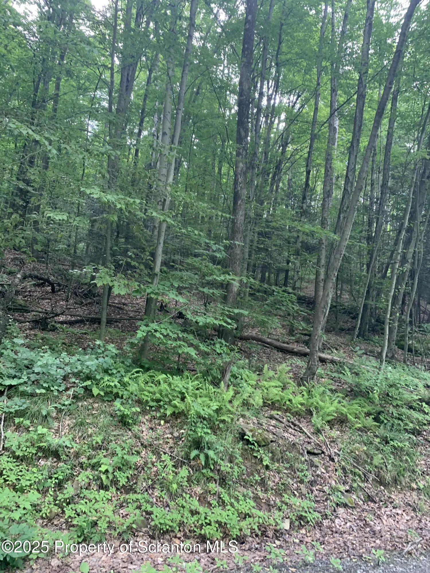 0 Butterfield Road, New Milford, Pennsylvania 18834, ,Land,For Sale,Butterfield Road,SC253143