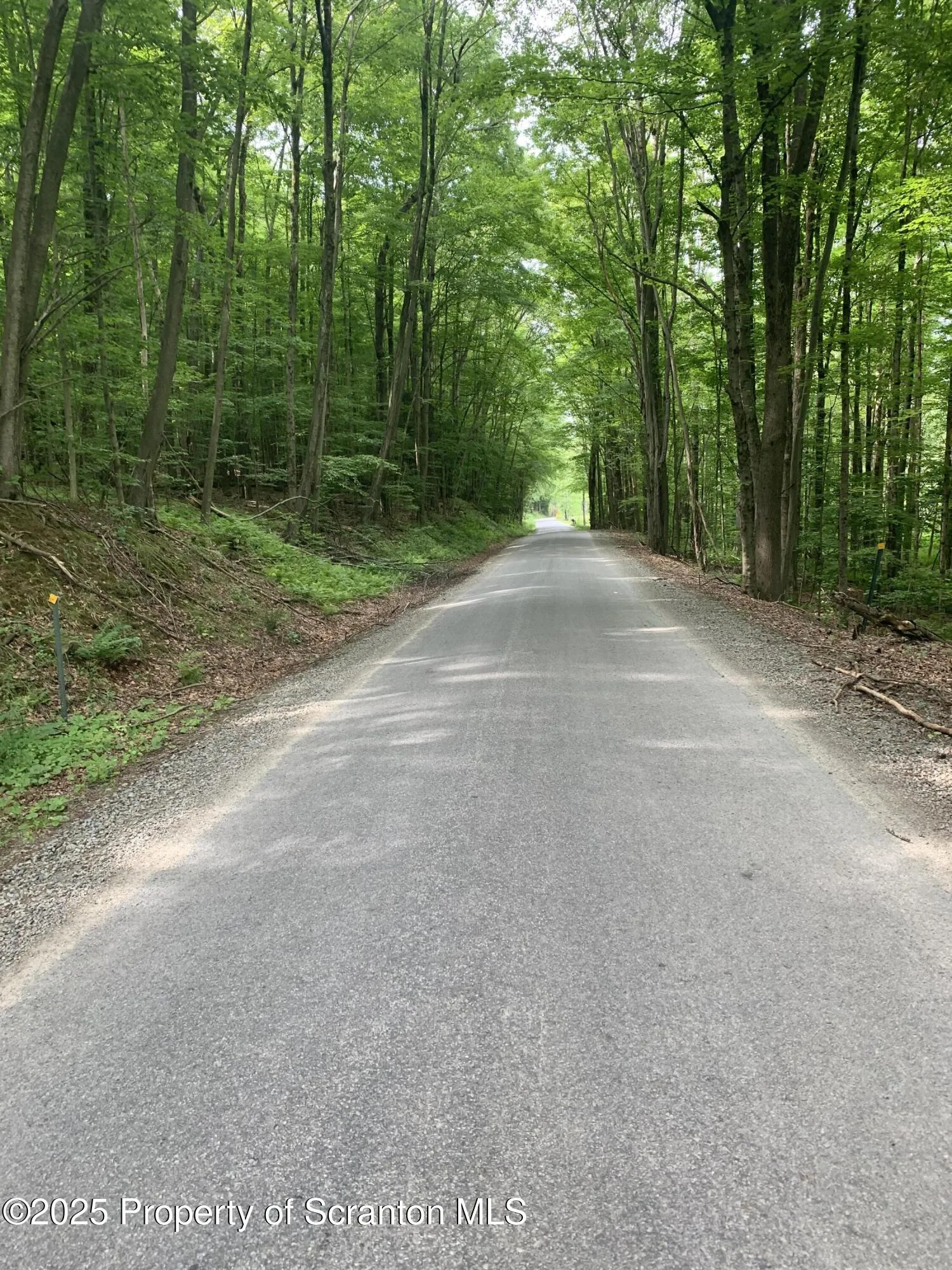 0 Butterfield Road, New Milford, Pennsylvania 18834, ,Land,For Sale,Butterfield Road,SC253143