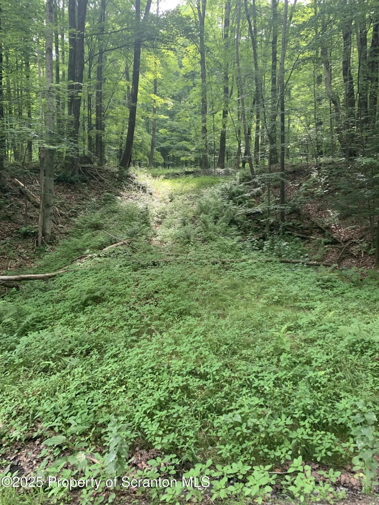 0 Butterfield Road, New Milford, Pennsylvania 18834, ,Land,For Sale,Butterfield Road,SC253143
