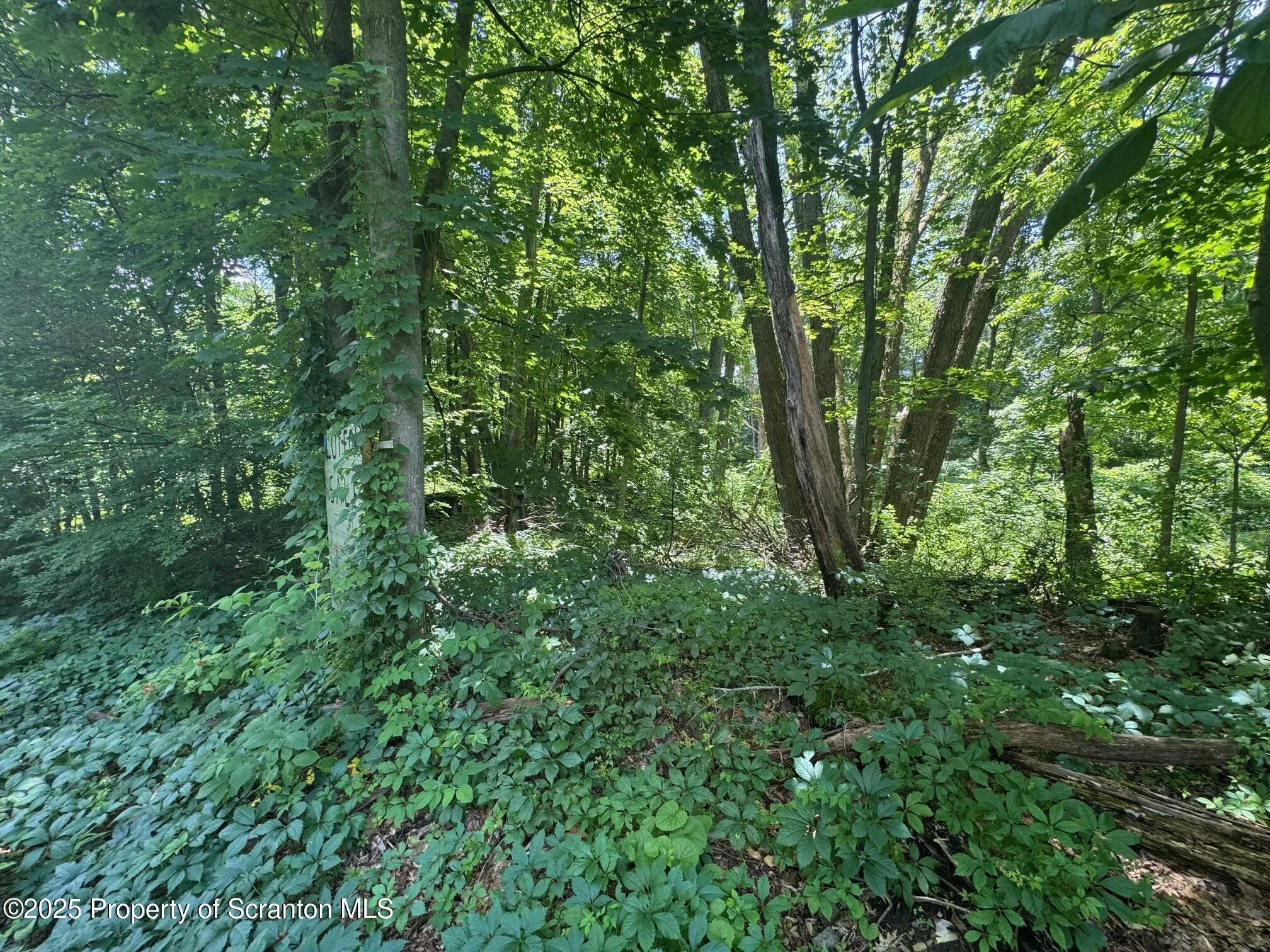 Land For Sale 138 S Keyser Avenue, Scranton, Pennsylvania 18505