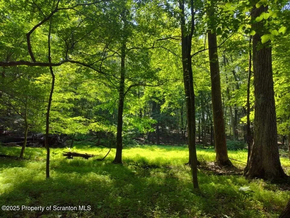 Land For Sale Williamson Dr, Middle Smithfield Twp, Pennsylvania 18302