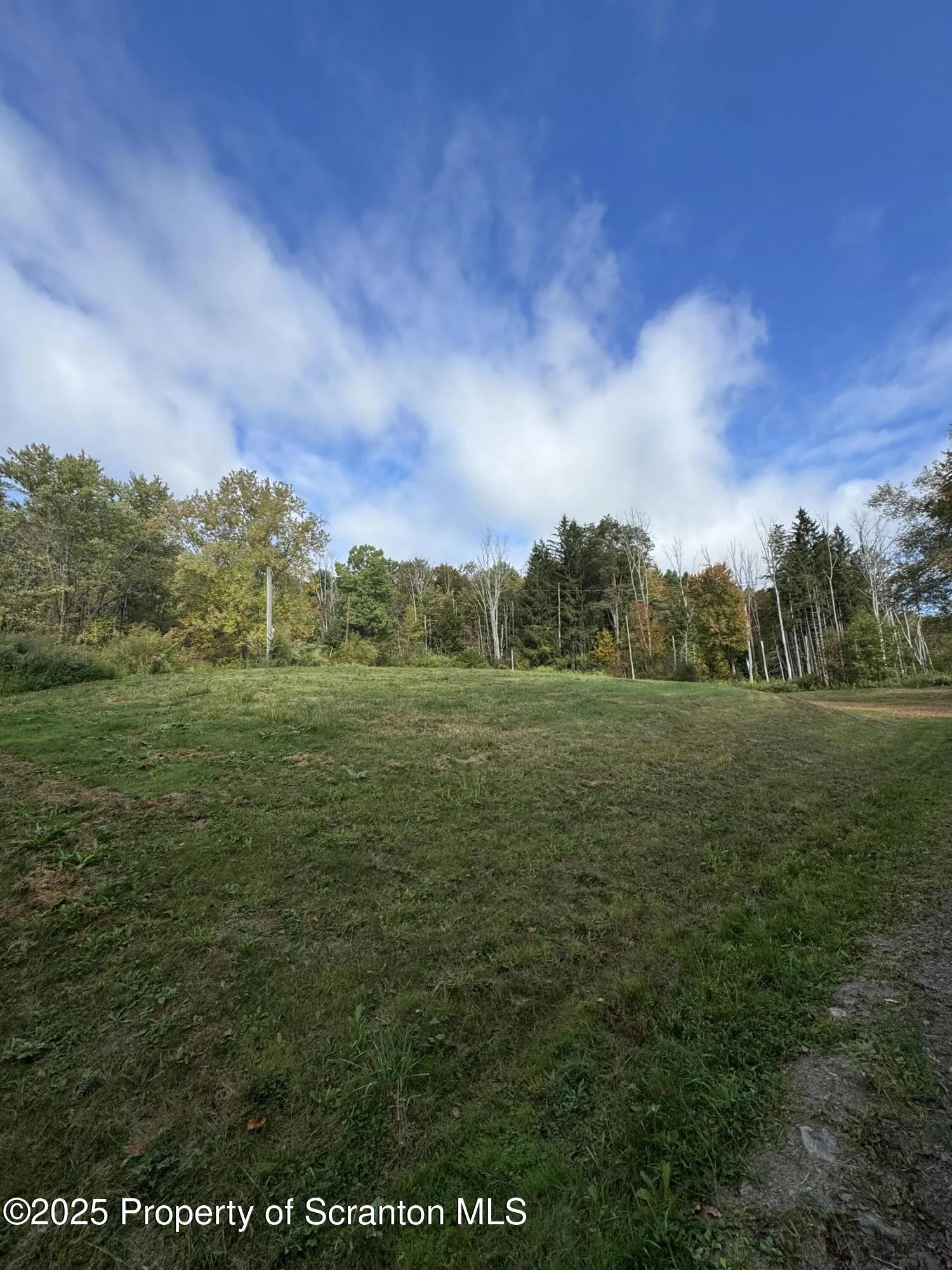 Commercial Sale For Sale 0 Old Route 11, New Milford, Pennsylvania 18834