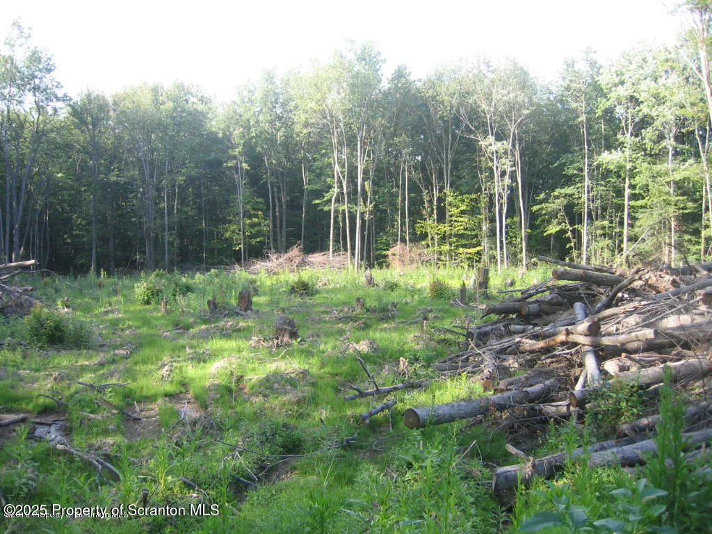 Land For Sale T 446, Scott Twp, Pennsylvania 18447