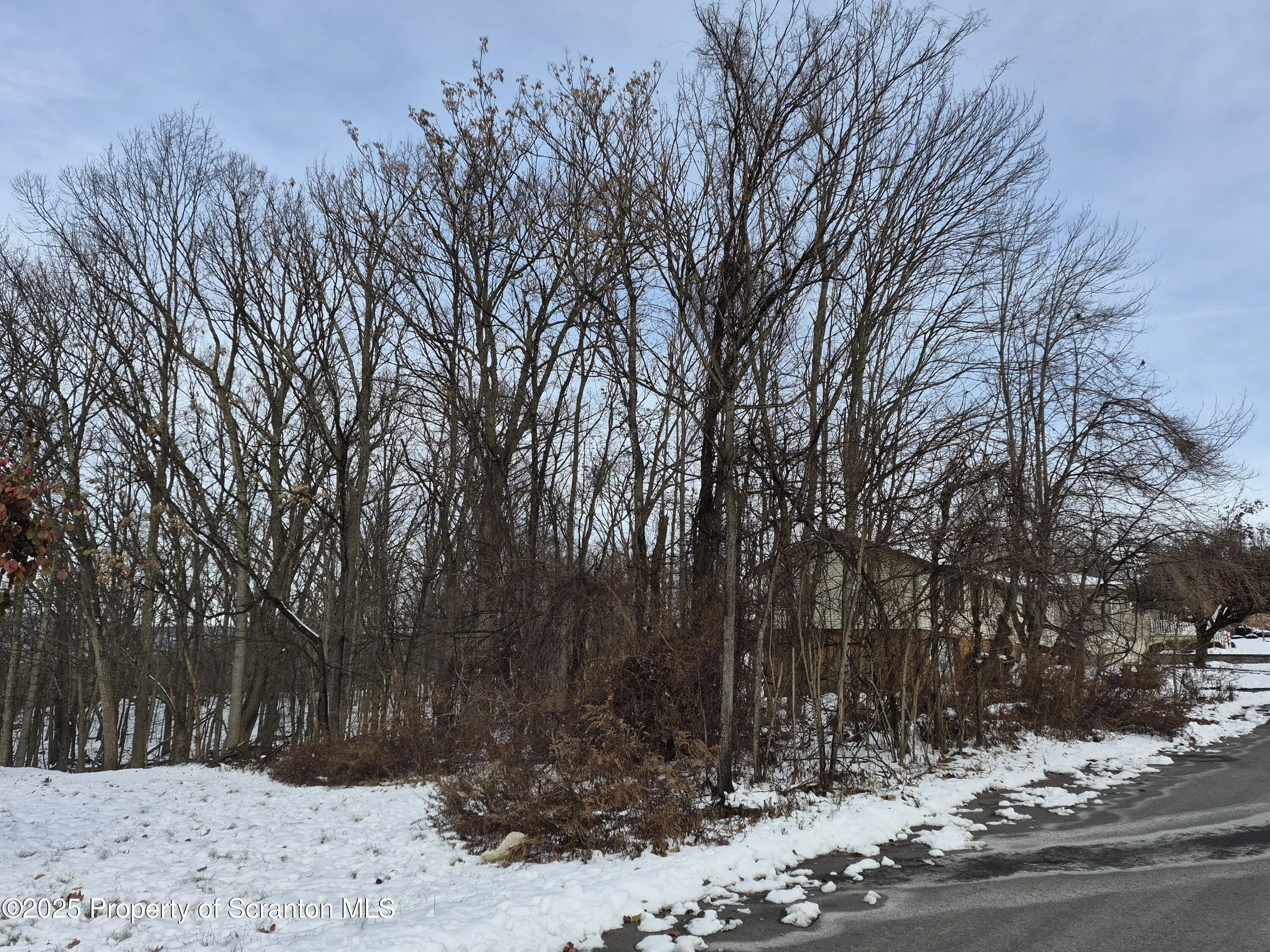 Land For Sale Froude Avenue, Scranton, Pennsylvania 18505